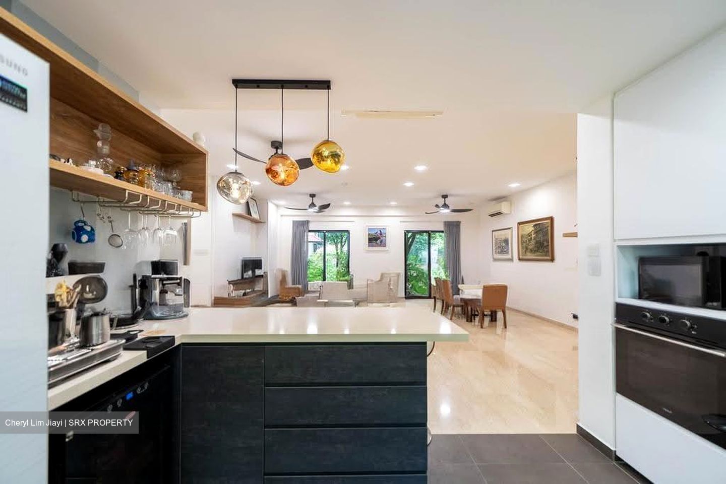 Dormer Park (D10), Condominium #622159191